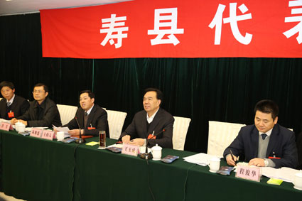 王玉成参加寿县代表团审议_淮南市人民政府