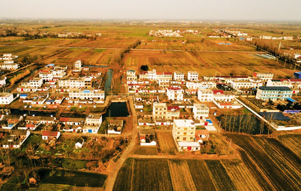 周圩村位于凤台县杨村镇,地势平坦,土质肥沃,水资源丰富,适宜小麦