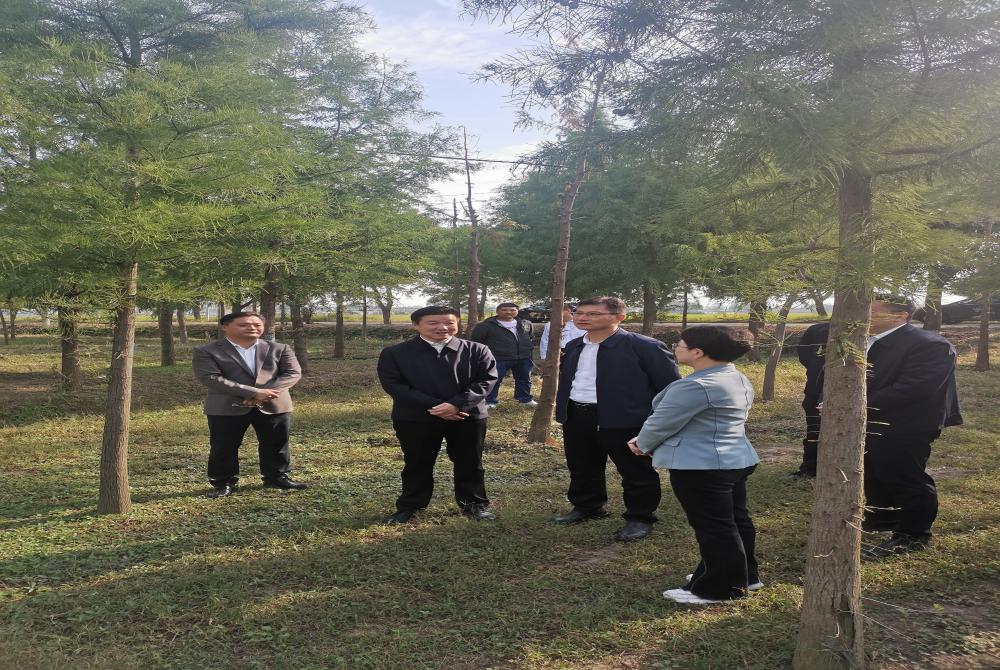 【宣传图片】林长能力提升年活动