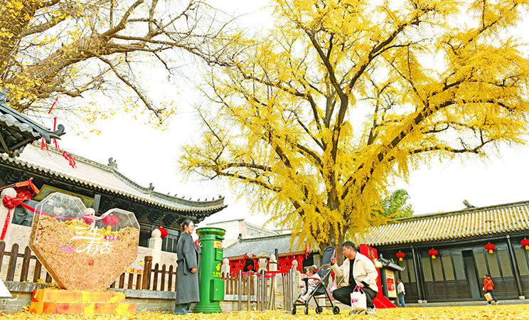 冬日美景入画来