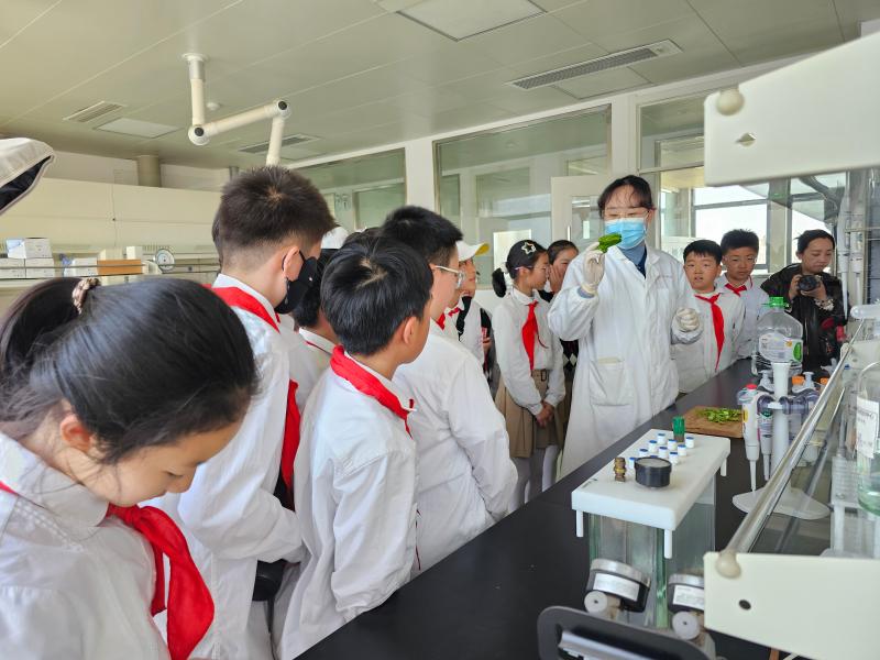 寓教于乐启新知沉浸体验筑安全：食药检验实验室开放日活动深受小学生欢迎