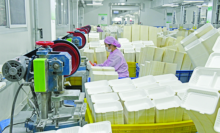 环保餐具生产忙