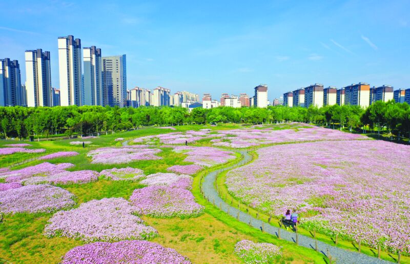 五月花开E水系